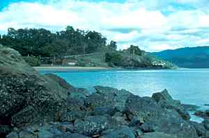 Photo of a muddy shore at Airlie Beach, northern Queensland