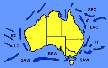 Graphic of oceanic currents around Australia
