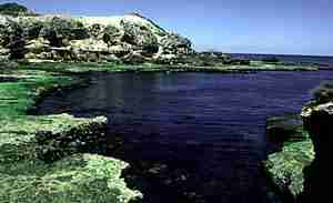 Photo of a Limestone shore at Cape Schanke, Victoria