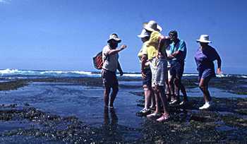 Keith Davey shows people an intertidal animal
